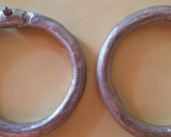 New nose rings for bulls (Oxen project)